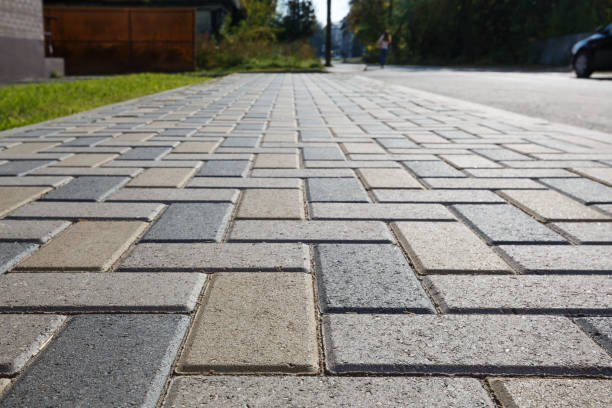 Best Local Driveway Pavers  in Fishhook, AK