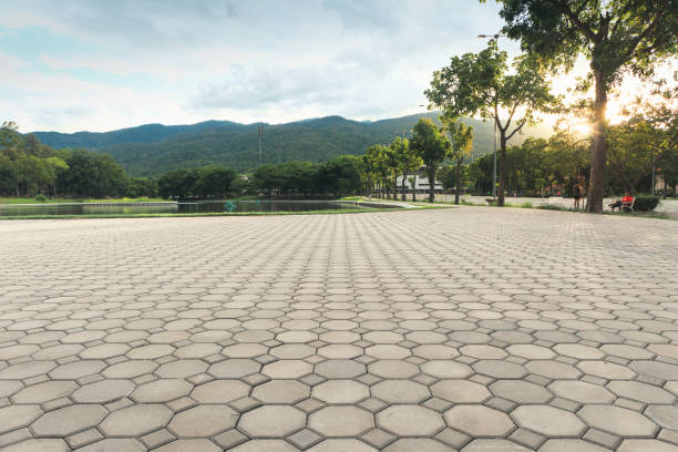 Best Custom Driveway Pavers  in Fishhook, AK
